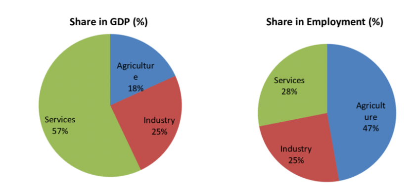 Structure of Indian Economy
